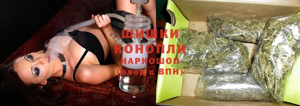 сатива Арсеньев
